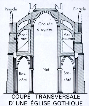 Coupe gothique